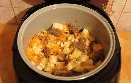 Retete tocana de cartofi cu carne în multivarka, selectarea secrete (Rețete) Retete tocana de cartofi cu carne în multivarka, selectarea secrete