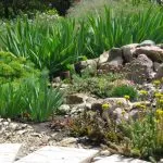schema de stancarie gradina de piatră, instrucțiuni pas cu pas modul de a face dvs. de propriile mâini rockeries (instrucțiuni) Stancarie sistem de grădină de piatră, instrucțiuni pas cu pas modul de a face propriile tale mâini rockeries