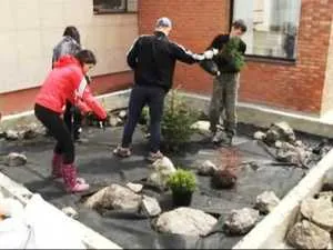 sistem de grădină de piatră stancarie, instrucțiuni pas cu pas modul de a face propriile mâini rockeries (pas cu pas) Stancarie sistem de grădină de piatră, instrucțiuni pas cu pas modul de a face propriile tale mâini rockeries
