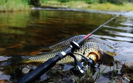 Pescuitul pe râul la hrănitor
