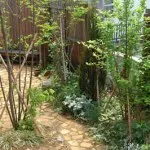 Cărări de grădină din cărămidă 55 fotografii