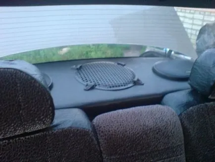 Subwoofer în organizarea de calitate a sunetului auto în 2110 și mai multe moduri de a conecta (subwoofer) Subwoofer în organizarea de calitate a sunetului auto în 2110 și mai multe modalități de a conecta