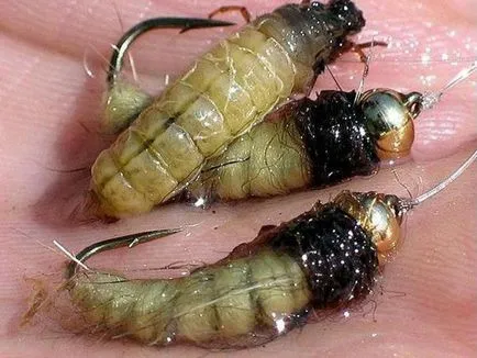 Caddis larvă și descrierea și habitat, reproducerea și utilizarea insectelor în pești