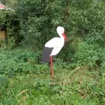 Stork de casă