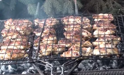 Țepușele cele mai delicioase de pui 6 rețete pentru cele mai bune muraturi din maioneza (kebab shish) Frigaruile cele mai delicioase retete de pui 6 pentru cele mai bune muraturi din maioneza