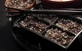Secretele reproducerea corectă a geranium (semne decorative soiuri) Secretele reproducerea corectă a unui mușcată
