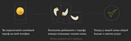 tarifare familie condiții Beeline, costul de conectare (conectare) tarifare familie condiții Beeline, costul conexiunii