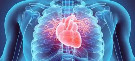 Heart supape descriere, structura, funcțiile și defectele