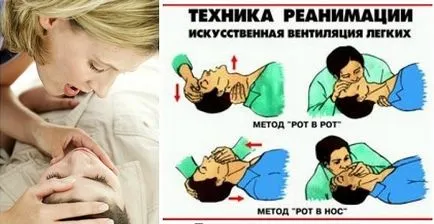 Daramat un pieton într-o pedeapsă trecere de pietoni, responsabilitate (pieton) El a daramat un pieton într-o pedeapsă trecere de pietoni, responsabilitate