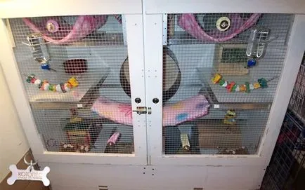 cușcă DIY pentru chinchilla cu mâinile lui