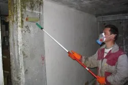 Cum de a elimina ciuperca pe pereții unei secvențe de acțiuni, mijloace