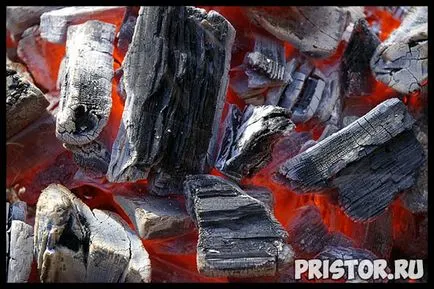 Cum de a elimina mirosul de apă de ploaie la domiciliu - rapid și eficient (Moonshine) Cum de a elimina mirosul de apă de ploaie la domiciliu - rapid și eficient
