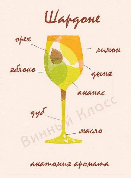 Chardonnay (chardonnay)