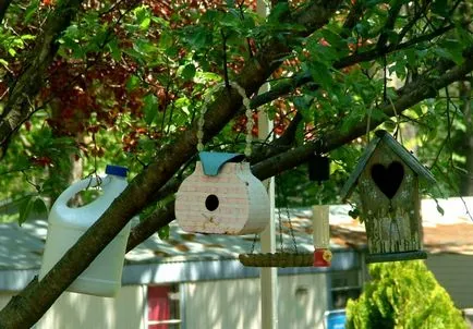 Cuibărindu cutie dintr-o sticla de plastic cu mâinile fotografia lui