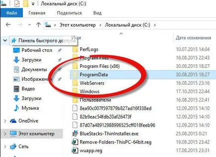 foldere ascunse în Windows 10, ferestre de configurare a serverului și Linux