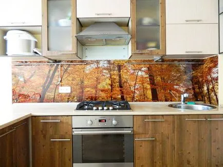 Skinali bucatarie șorț foto din sticlă, ceea ce este, cerul, designul ambientului cu propriile lor mâini, (bucătărie) Skinali bucatarie șorț foto din sticlă, ceea ce este, cerul, designul ambientului cu propriile lor mâini,
