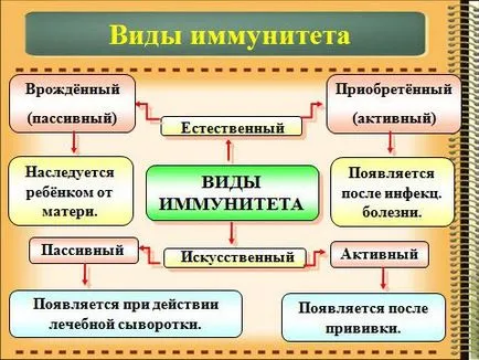 sistemul imunitar uman - un sistem de reacție rapidă