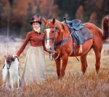 Rus câine Greyhound descriere rasă, fotografii, cățeluși preț comentarii