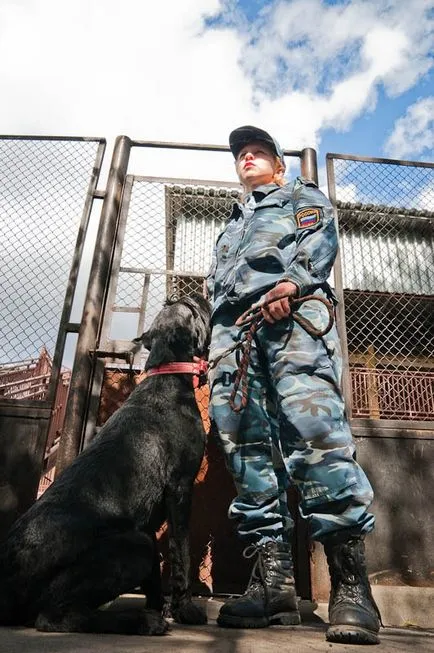 Mia câine - știri în imagini