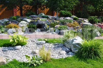 Crearea rockeries în țară cu propriile mâini - instrucțiuni pas cu pas (pas cu pas) Crearea rockeries în țară cu propriile lor mâini - ghid pas cu pas