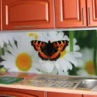 șorț de sticlă pentru bucătărie cu mâinile sale caracteristici distinctive și instalarea acestuia - kuhnyagid - kuhnyagid (sticlă) șorț de sticlă pentru bucătărie cu mâinile sale caracteristici distinctive și instalarea acestuia - kuhnyagid - kuhnyagid