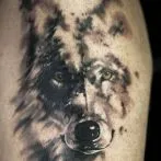 Wolf tatuaj sensul schite
