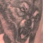 Wolf tatuaj sensul schite