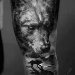 Wolf tatuaj sensul schite