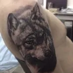Wolf tatuaj sensul schite
