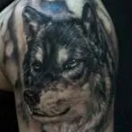Wolf tatuaj sensul schite