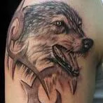 Wolf tatuaj sensul schite