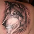Wolf tatuaj sensul schite
