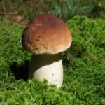 Cu mâinile sale, intrările din categoria de mâini, bun venit pe blogul meu! Aici vei gasi