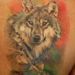 Tatuaj lup - ceea ce înseamnă schițe tatuaj și fotografii (imagini) Tatuaj lup - valoare desene sau modele tatuaj și fotografii