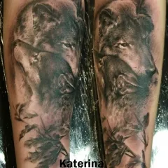 Tatuaj lup - ceea ce înseamnă schițe tatuaj și fotografii (tatuaj) Tatuaj lup - valoare desene sau modele tatuaj și fotografii