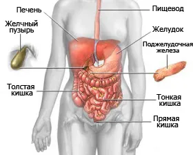 Tabletă de la dureri de stomac, ce să aleagă și ce pastile ajuta la durere severă în stomac, lista