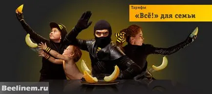 Tariful pentru toate Beeline familie