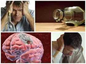 encefalopatia toxică ce este