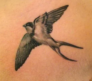 Bird tatuaj - valoare imagini tritatushki (tatuaj valoare de rândunică) Bird tatuaj - imagini de valoare tritatushki