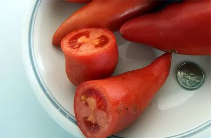Tomate „pertsevidny“ - observații cu privire la varietatea, o fotografie de tomate, caracteristicile și descrierea (foto) Tomate „pertsevidny“ - observații cu privire la varietatea, o fotografie de tomate, caracteristici și descrierea