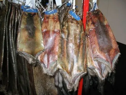 dressing tehnologie blănurilor nutrie (curtau nutria blană blană) Tehnologie blănurilor lumânare nutrie