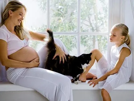 Toxoplasmoza în tratamentul pisicilor și profilaxia (prevenirea) Toxoplasmoza în tratamentul și prevenirea pisici