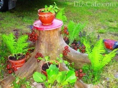 Cum de a decora și înnobila ciotul în grădină, cu propriile sale mâini care pot fi făcute din bontul la cabana