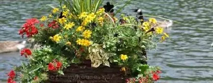 grădină ciot Ca decora 1 (pat de la butuc) Cum de a decora un ciot de copac în grădină 1