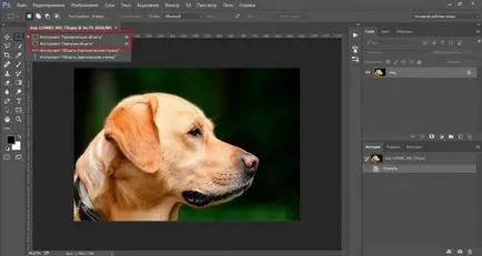 Cum de a reduce obiectul în Photoshop rapid si profesional