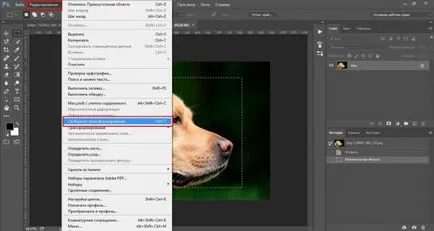 Cum de a reduce obiectul în Photoshop rapid si profesional