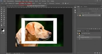 Cum de a reduce obiectul în Photoshop rapid si profesional
