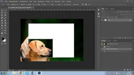 Cum de a reduce obiectul în Photoshop rapid si profesional