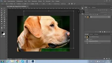 Cum de a reduce obiectul în Photoshop rapid si profesional