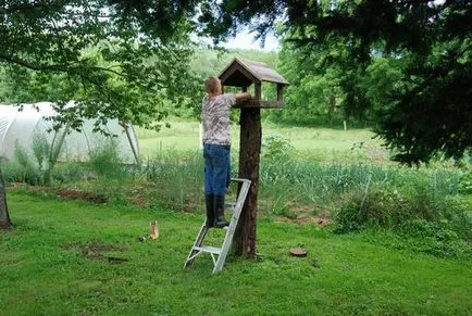 Cum de a decora sau de a decora de cânepă dacha imaginat (casă de țară) Cum de a decora sau de a decora cânepă cabana fotografie